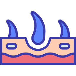 Epidermis icon