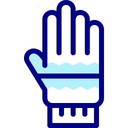 Gloves icon