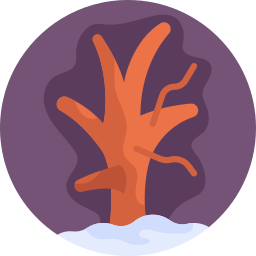 winterbaum icon