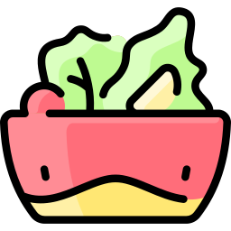 Salad icon