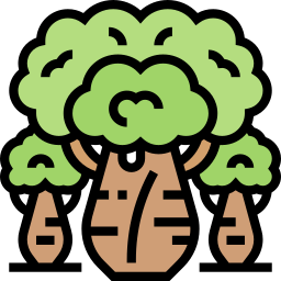 baobab icono