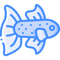 Бетта рыба иконка