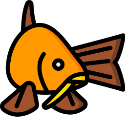 鯉 icon
