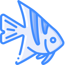 angelfish Ícone