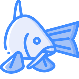 Carp icon