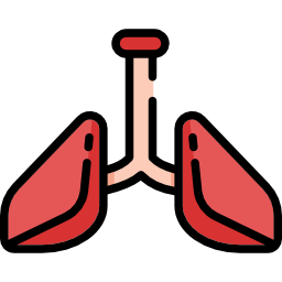 Lungs icon