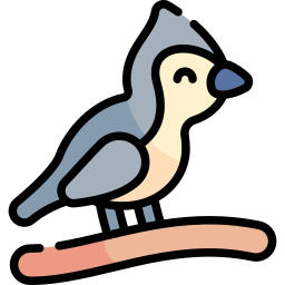 Titmouse icon