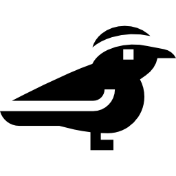 Arctic tern icon