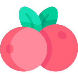 cranberry icon