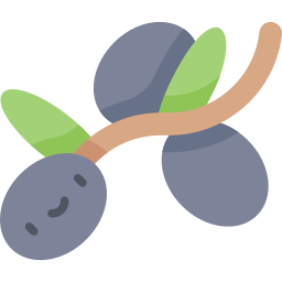 olive icon