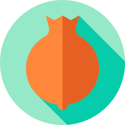 granatapfel icon
