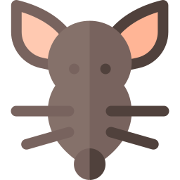 rat icoon