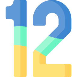 12 icon