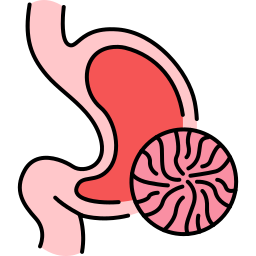 Gastric icon