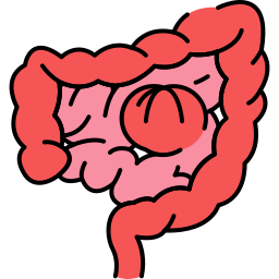intestinos icono