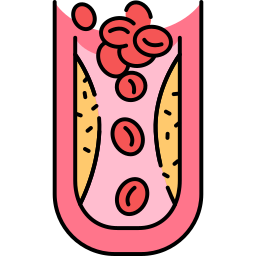 vaso sanguíneo icono