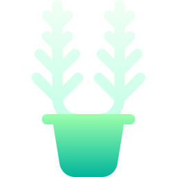 Fern icon