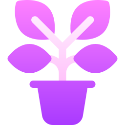 Ficus icon