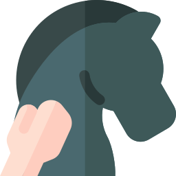 Hippotherapy icon