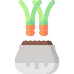 多肉植物 icon