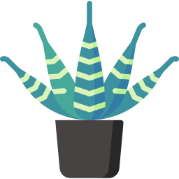 roślina zebry ikona