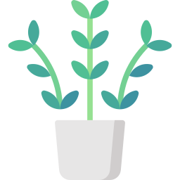 Zz plant icon