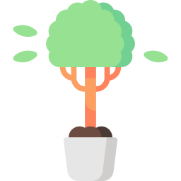 Weeping fig icon