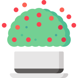 koraal kraal icoon