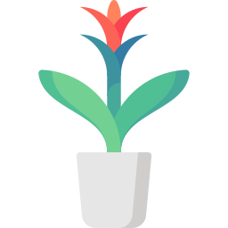 bromelien icon