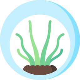 Air plant icon