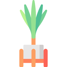 Dragon tree icon