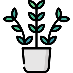 Zz plant icon