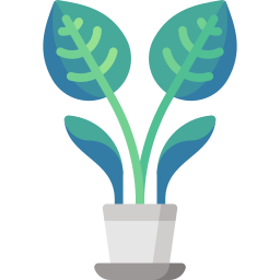 Pinstripe calathea icon