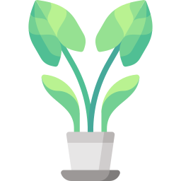 Arrowhead plant icon