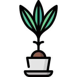 Coconut palm icon