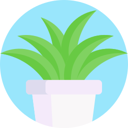 Succulent icon