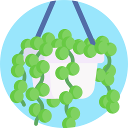 String of beads icon