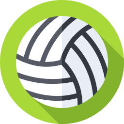 pelota de voleibol icono