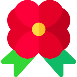 Ribbon icon