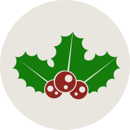 Christmas icon