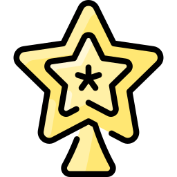 Christmas star icon