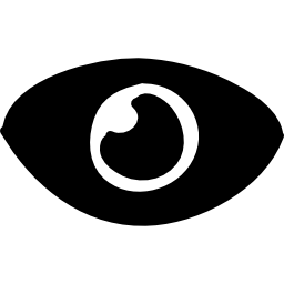 primer plano del ojo icono
