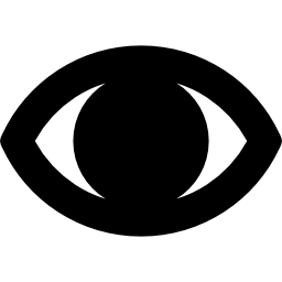 Eye closeup icon