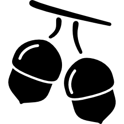 Thanksgiving acorns icon