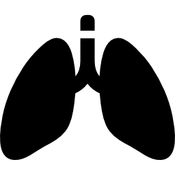 Órgano de los pulmones icono