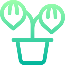 peperomia-wassermelone icon