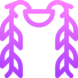 シダの葉のサボテン icon