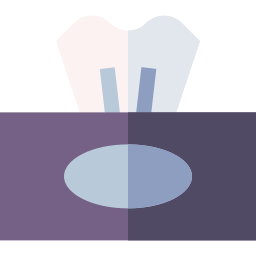 Tissue box icon