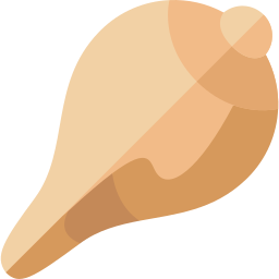 Shell icon