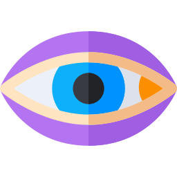 Black eye icon